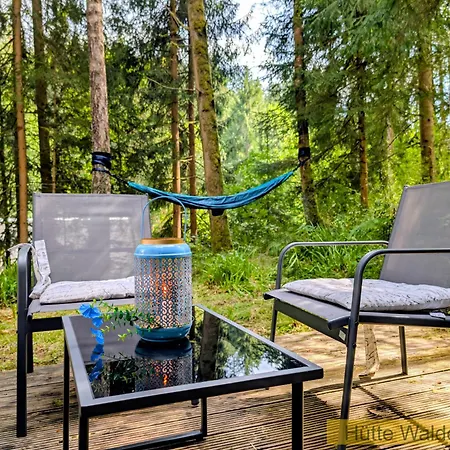 Huette Waldesruh - Ruheort Mitten Im Wald Eibenstock
