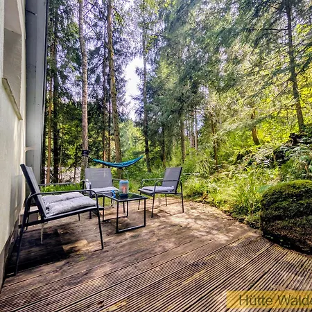 Huette Waldesruh - Ruheort Mitten Im Wald * Eibenstock